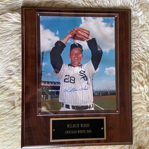 Autographed Wilbur Wood 8x10 Photo with COA Chicago White Sox Legend